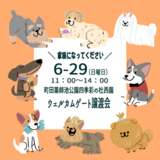 index-4a.png
